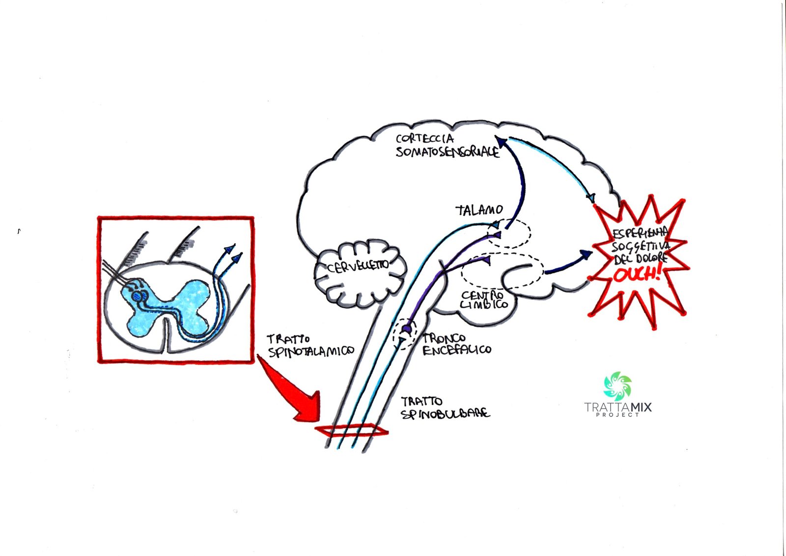 Fisioterapia sintomi neurologici
