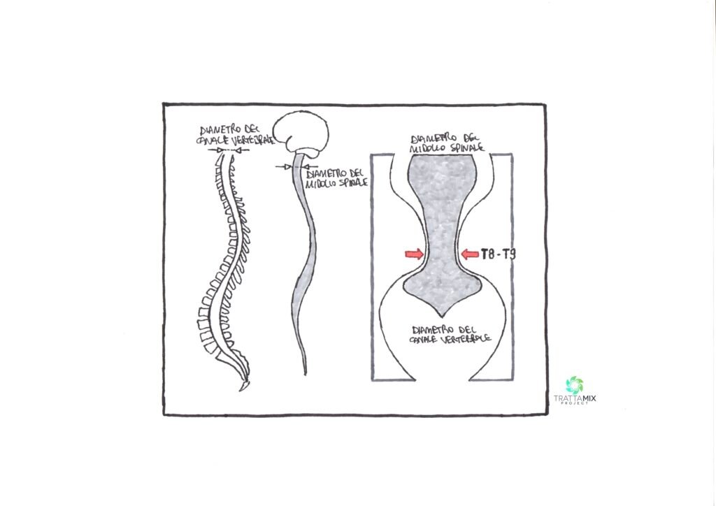 Colpo di frusta sintomi tardivi