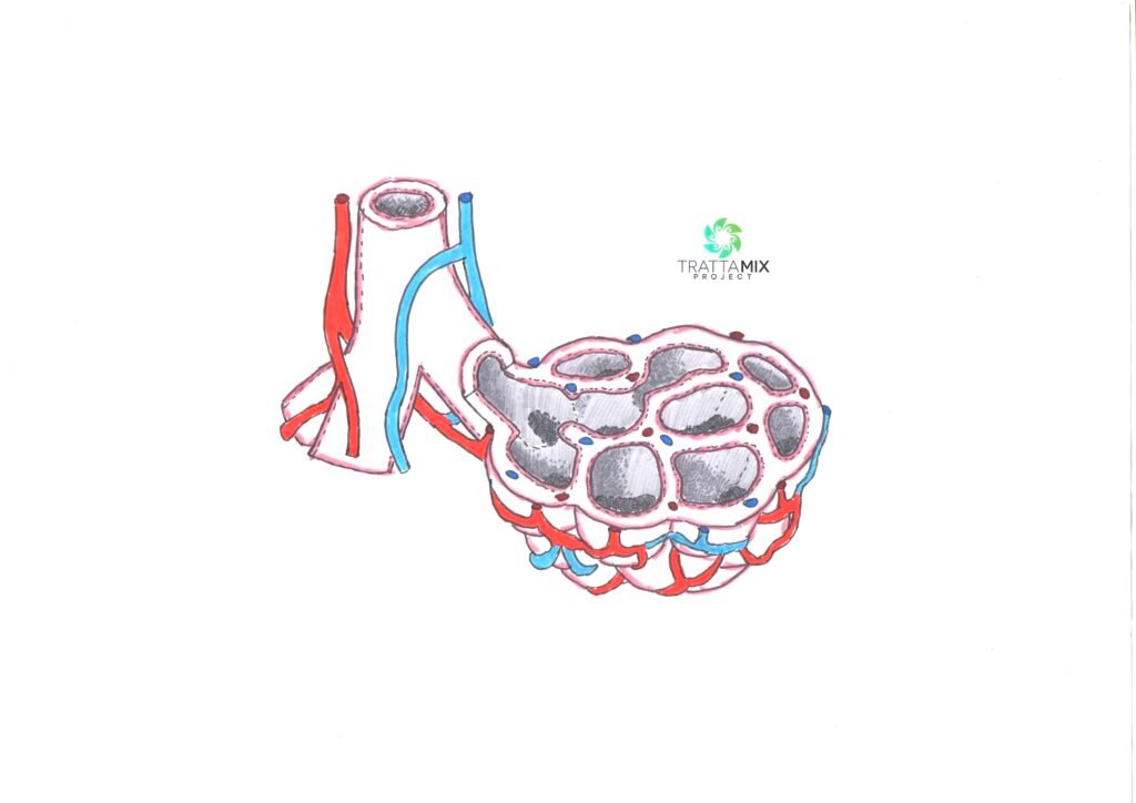 Ginnastica respiratoria bottiglia