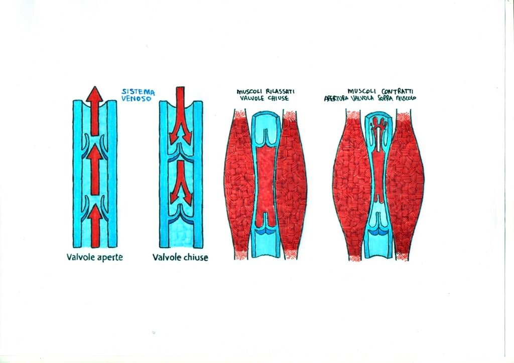 Distorsione alla caviglia gonfiore persistente
