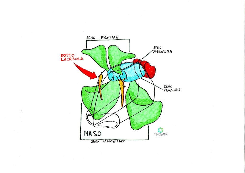 sinusite cura rapida