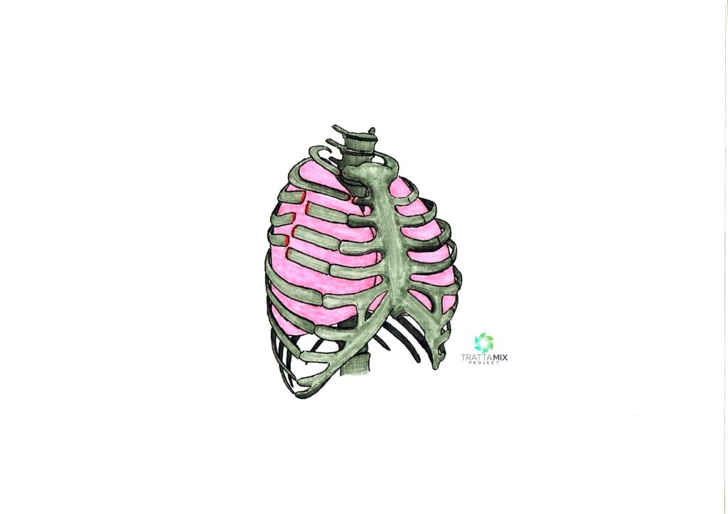 Costola rotta cosa fare