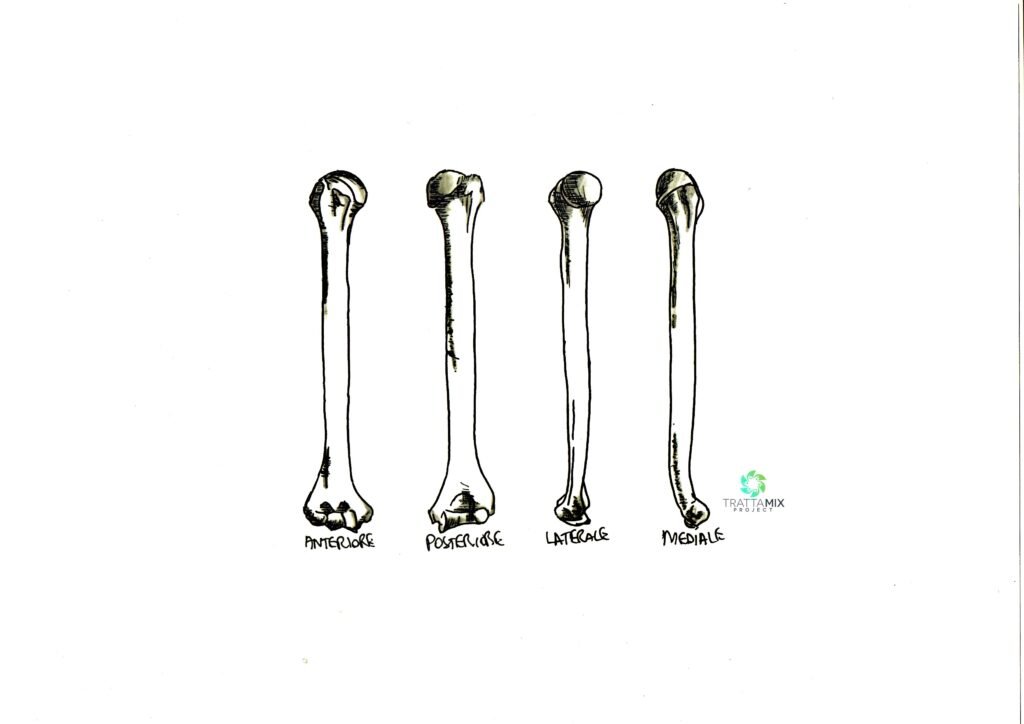 frattura omero tempi di recupero